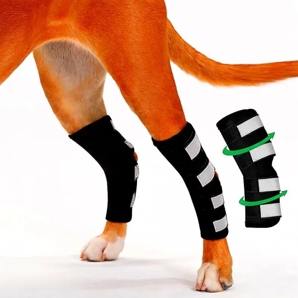 BeltWala Medilink Canine Rear Leg Hock Brace for Dogs (Pair) | Adjustable Compression Support Sleeves for Hind Legs | Dog Hock Joint Support for Sprains, Arthritis, Wound Protection, Post-Surgery Recovery