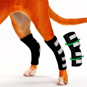 BeltWala Medilink Canine Rear Leg Hock Brace for Dogs (Pair) | Adjustable Compression Support Sleeves for Hind Legs | Dog Hock Joint Support for Sprains, Arthritis, Wound Protection, Post-Surgery Recovery