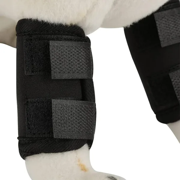 BeltWala Medilink Dog Knee Brace Wraps (1 Pair) | Adjustable Compression Leg Support for Dogs | Lightweight & Breathable | Supports ACL/CCL Injury, Arthritis, Joint Stability, Recovery & Mobility